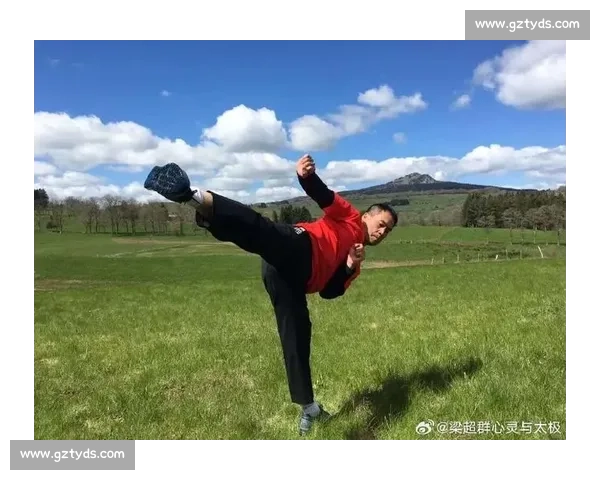 赛法斗：踢击独尊的优雅格斗艺术